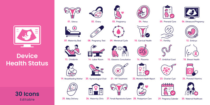 Pregnancy and Maternity Icons Set with Medical Symbols and Woman Health Elements