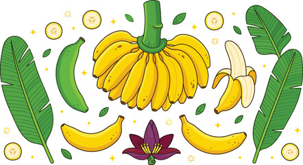 Banana harvest vector illustration set featuring yellow bunch green banana peeled fruit slices tropical leaves blossom flower and organic food elements © Akter