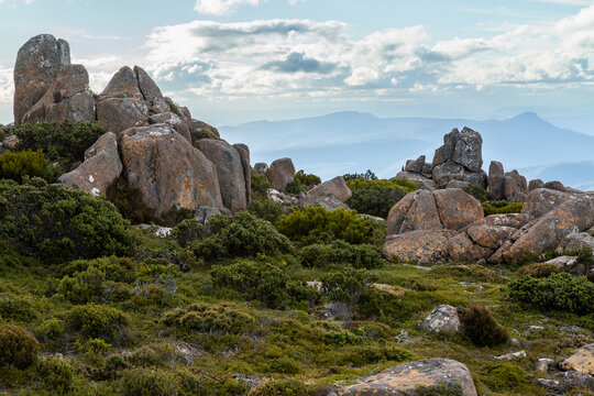 Boulders and low alpine shrubs at the top of Mount Wellington