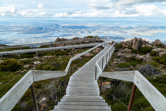 Wooden boardwalk over alpine plants and boulders