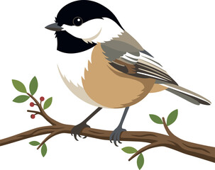 Cute black capped chickadee bird perched on a tree branch vector cartoon illustration isolated on white background © MstBizly