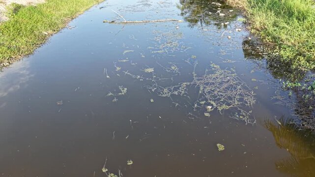 Aerial Drone View of Polluted Coastal Wetland Canal
