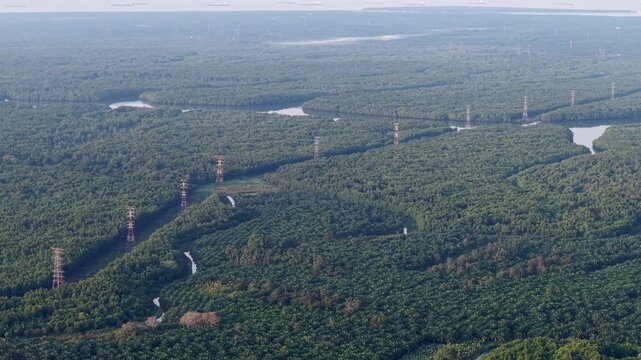 Aerial Drone View of Coastal Power Pylons