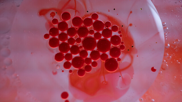 red currant berry
