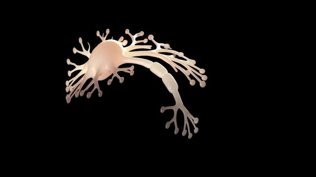 Organic neuron cell brain synapse system bg able to loop endless 4k