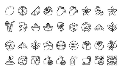 Obraz premium Lemon Fruit and Citrus Slice Outline Icons Vector Collection