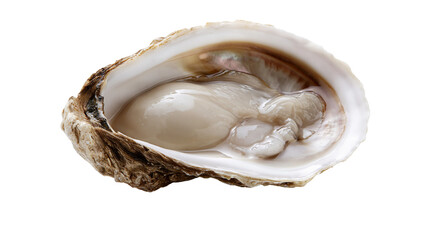 Fresh raw oyster in shell with glistening meat © Emma