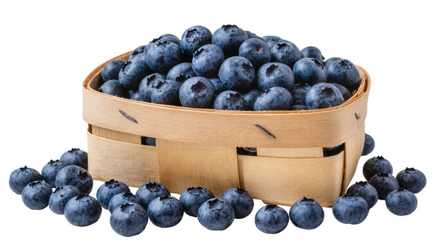 Wooden basket overflowing with fresh blueberries and scattered around
