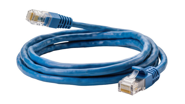 Blue coiled Ethernet network cable with RJ45 connectors