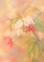 Obraz premium Soft floral dreamy elegance