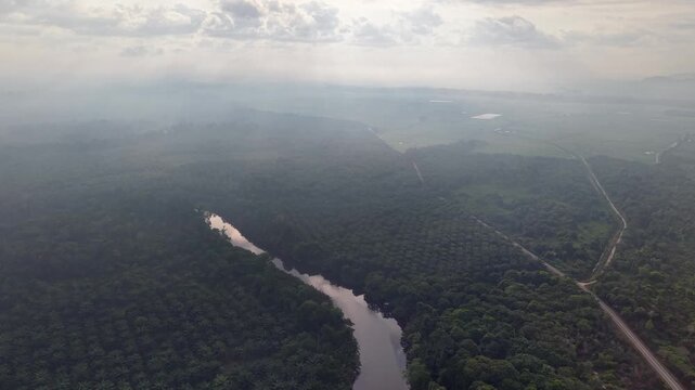 Aerial view of river slicing through dense forest