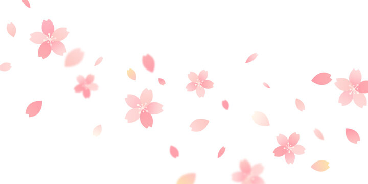 Sakura petals falling onto an abstract background, creating a beautiful floral pattern on a greeting card; vector illustration.