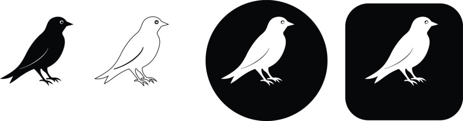 Fototapeta premium Four black and white bird featuring a small bird with an eye, presented as silhouettes, outlines, and button