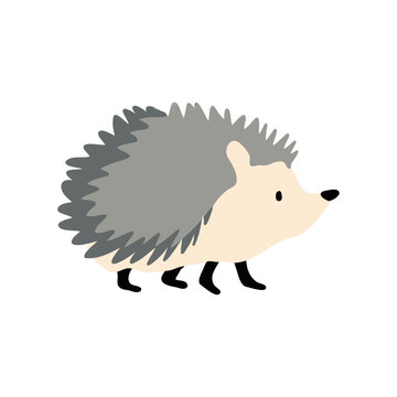 Cute Woodland Hedgehog Clipart Isolated