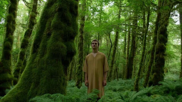 serene statue standing still in a forest setting with greenery and natural light, front view of wooden nature scene background for in editorial and educational resources.
