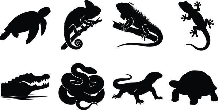 Black reptile silhouettes vector icon set featuring snake lizard chameleon crocodile and turtle isolated on white background
