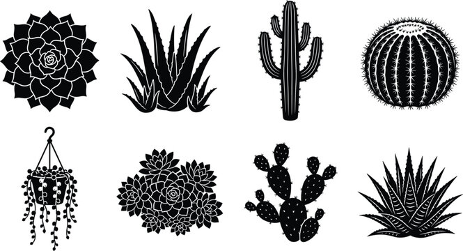 Black succulent and cactus silhouettes vector icon set featuring agave aloe vera and houseplants isolated on white background