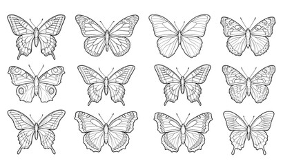 Butterfly outline collection hand drawn insect set editable stroke black line art vector isolated wings nature illustration © NAYEEM