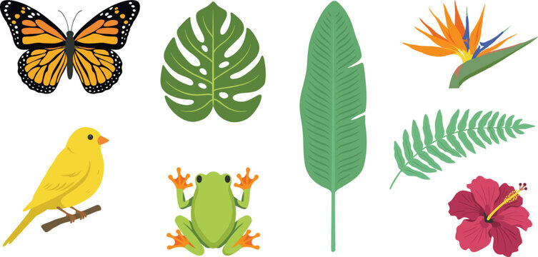 Tropical Rainforest Element Set featuring Monarch Butterfly, Tree Frog, Canary Bird, Monstera, Banana Leaf, Fern, Hibiscus, and Bird of Paradise Flowers