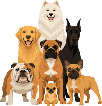 PrintDiverse Dog Breeds Group Portrait Illustration Featuring Golden Retriever Boxer Samoyed Great Dane English Bulldog French Bulldog and Chihuahua in Pyramid Composition Vector Graphics