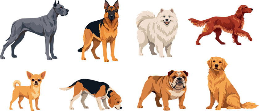 PrintFlat Vector Dog Breeds Character Set Featuring Great Dane German Shepherd Samoyed Irish Setter Chihuahua Beagle English Bulldog and Golden Retriever Graphics