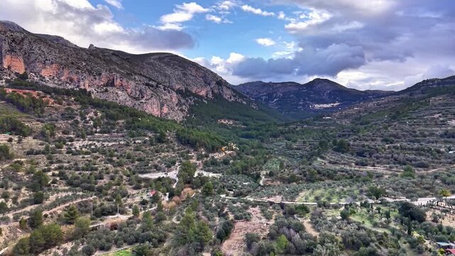 Aerial sunlit canyon with groves, golden light on cliffs, winding terraced rows and dirt trails, rugged soil