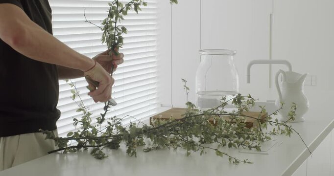 Talented male florist creating a beautiful floral composition by skillfully cutting green branches with shears and placing them into a glass vase filled with water in a bright, modern kitchen