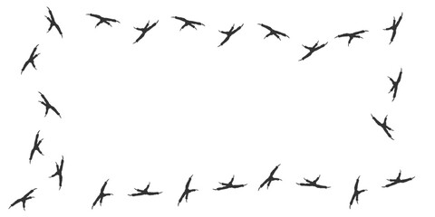 Obraz premium Vector trail print of bird isolated on white background. Rectangular frame of footprint silhouette tracks of macaw parrot. Paw Print. Vector illustration. EPS10