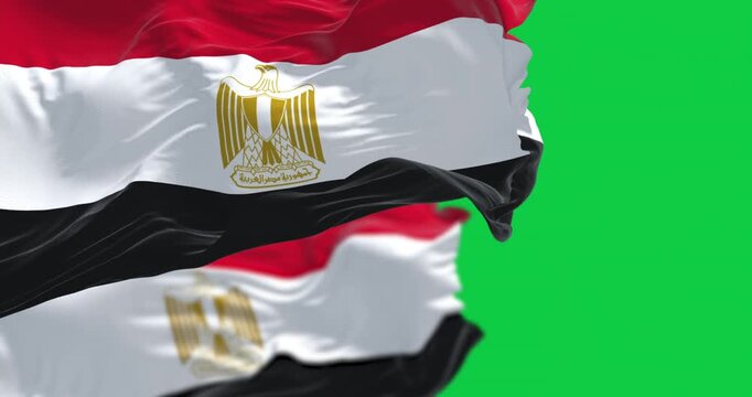 National flags of Egypt waving isolated on green background. Seamless 3D render animation. Chroma key. Slow motion loop. Green screen. 4K. Selective focus