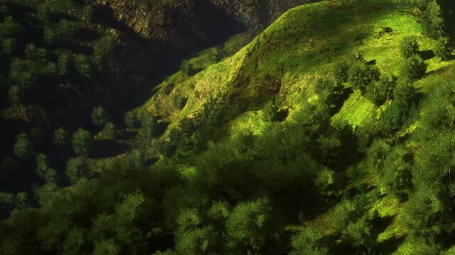 Green hills are visible with small trees scattered throughout the grassy area. Bright light shines on the landscape creating a vibrant scene in the afternoon.