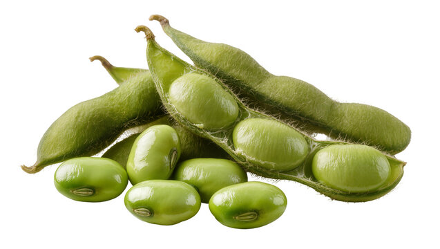 Fresh green soybeans in pods, close-up view