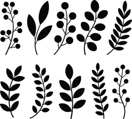 Botanical leaf and berry branch silhouettes for floral design elements. © Mst Insanara Begum