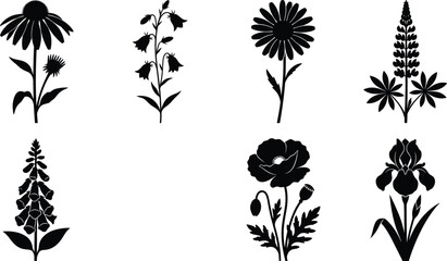 Set of black wildflower silhouettes including poppy iris chamomile foxglove echinacea and lupine on white background © MstLata