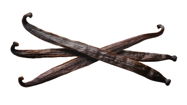 Three dried vanilla bean pods crossed on white