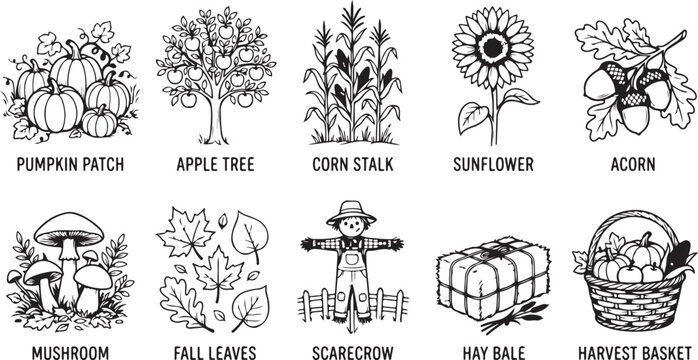 Autumn harvest theme illustrations pumpkin patch apple tree corn stalk sunflower acorn mushroom fall leaves scarecrow hay bale basket.