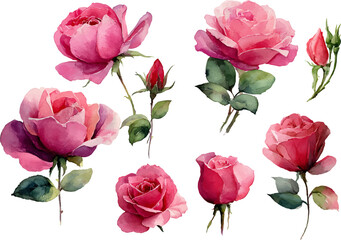Fototapeta premium bouquet of pink roses