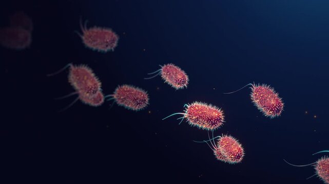 Abstract Animation Loop of Red Bacteria Floating on a Blue Background wtih Copy Space. Intestinal microbiome cells, stomach germs for biotechnology and immunology research concepts.