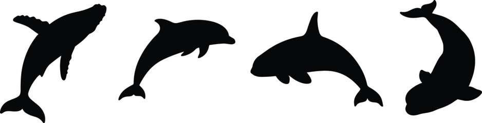 Marine Mammal Silhouette Collection with Whale Dolphin and Orca Ocean Animal Poses © MD MIJANUR