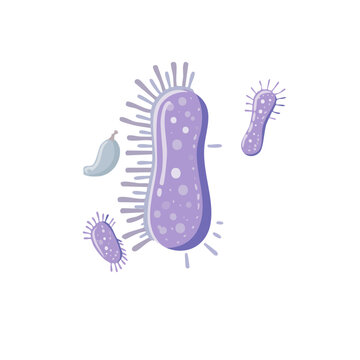 Purple Bacteria Flat Vector Illustration