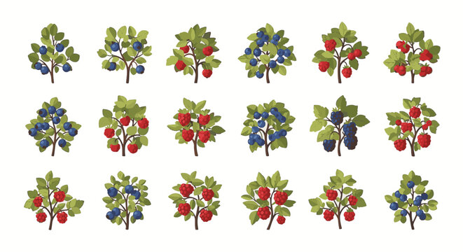 Vector illustration collection featuring eighteen individual berry bushes including ripe blueberries, red raspberries, blackberries and currants with green foliage on white background.