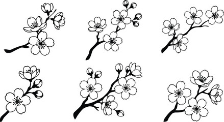 Black and white cherry blossom branch illustrations © Vector Star