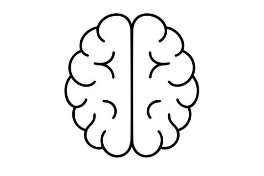 Minimal hand traced brain outline vector icon, black line neuroscience illustration of human mind, cognition, memory, mental health, psychology, learning, therapy, and medical anatomy symbol