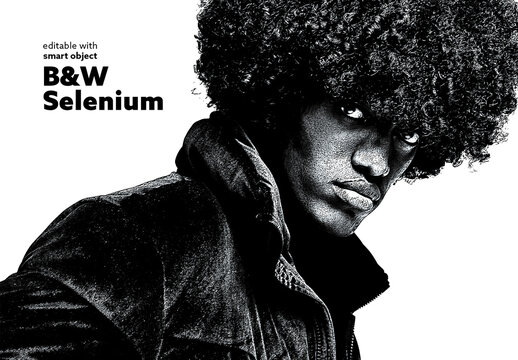Selenium B&W Photo Effect