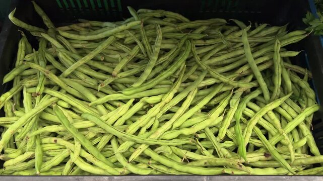 Loose green beans fill a deep black crate in a grocery produce section, creating a dense textured surface for healthy eating and vegetarian food themes.