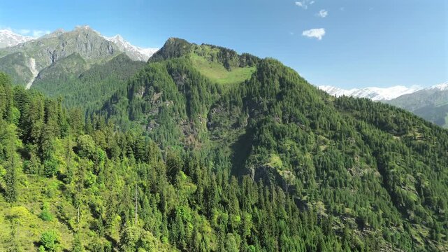 Drone forward flight approaching a massive mountain ridge covered in dense green pine forests with snow-capped peaks in the background under a blue sky in Manali, Himachal Pradesh, India.