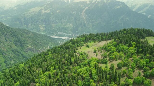 Drone forward flight over high mountain slopes covered in contrasting dark pine and bright green deciduous forests, revealing a wide misty valley and hazy mountain peaks in Manali, India