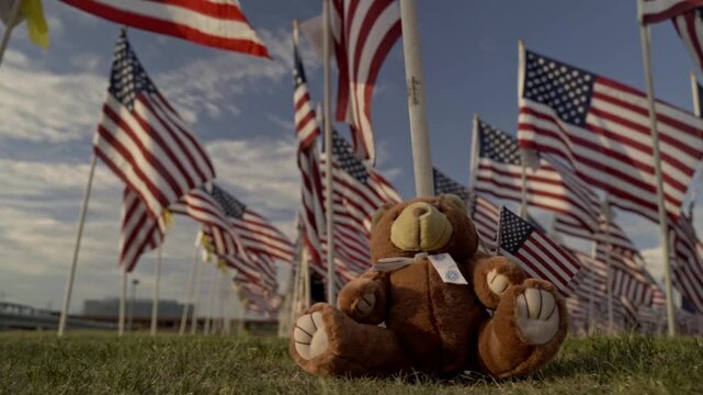 A stuffed teddy bear sits in the grass at the base of a flagpole. Dozens of American flags wave in the wind during an outdoor memorial tribute near sunset, captured from a low angle.