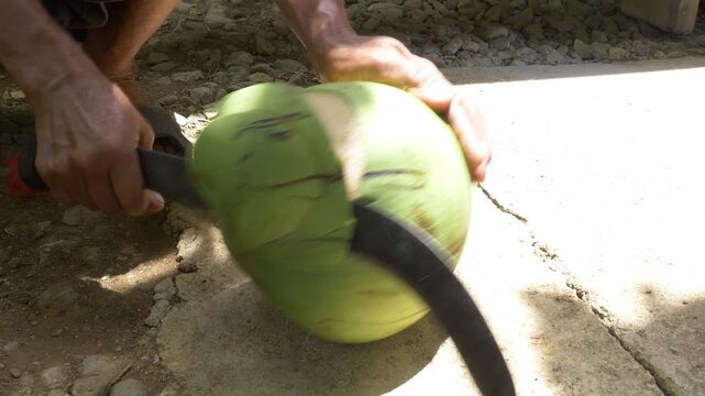 Fresh green coconut opened with a machete in Cebu, Philippines.