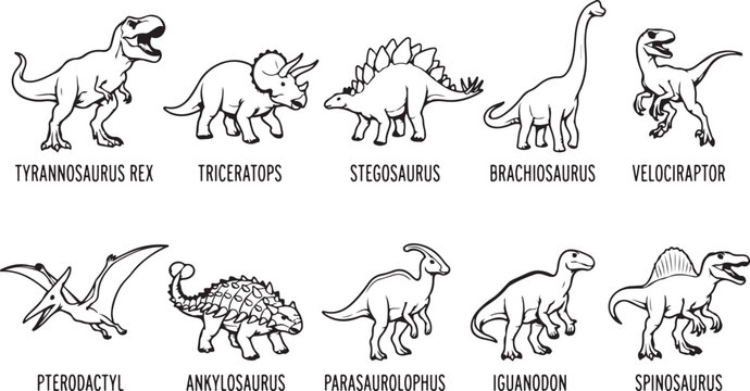 Collection of ten detailed line art dinosaur illustrations tyrannosaurus rex triceratops stegosaurus brachiosaurus velociraptor.