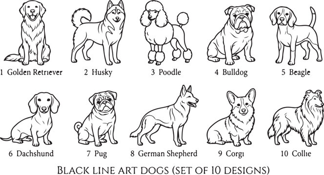 Ten black line art dog breed illustrations golden retriever husky poodle bulldog beagle dachshund pug german shepherd.